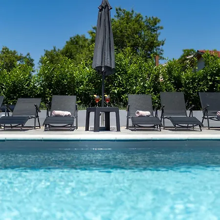 Zavala فيلة Brzac